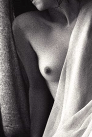 timwebsite, 画像サイズ:188x281